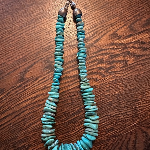 Jay King Blue TurquoisegraduatedDisc Beaded Necklace with Organic Design